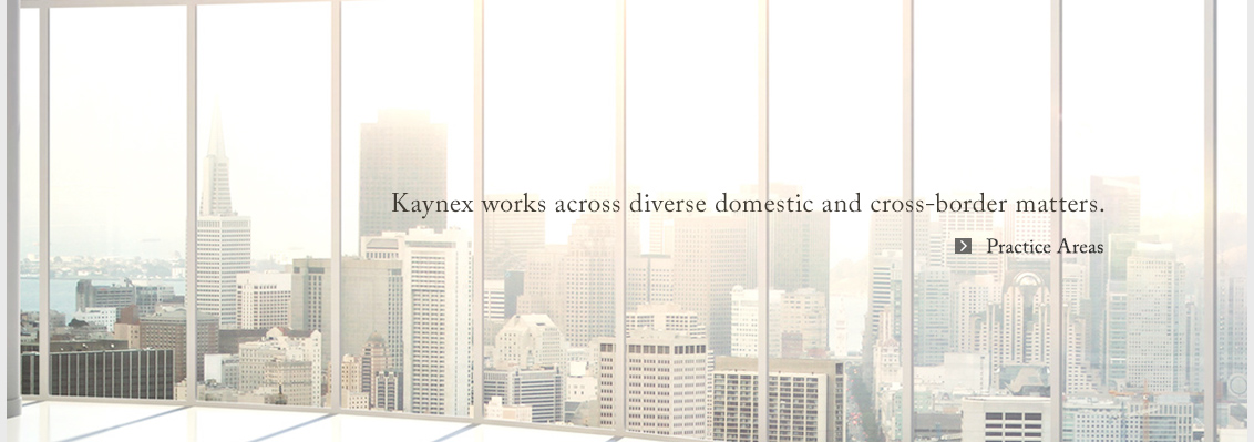 Kaynex works across diverse domestic and cross-border matters.